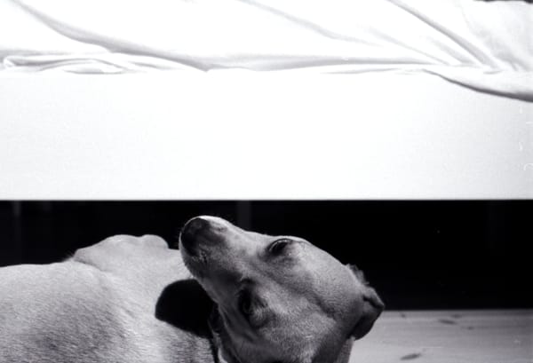 Under a way too blue sky