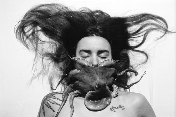 Winter writes the story